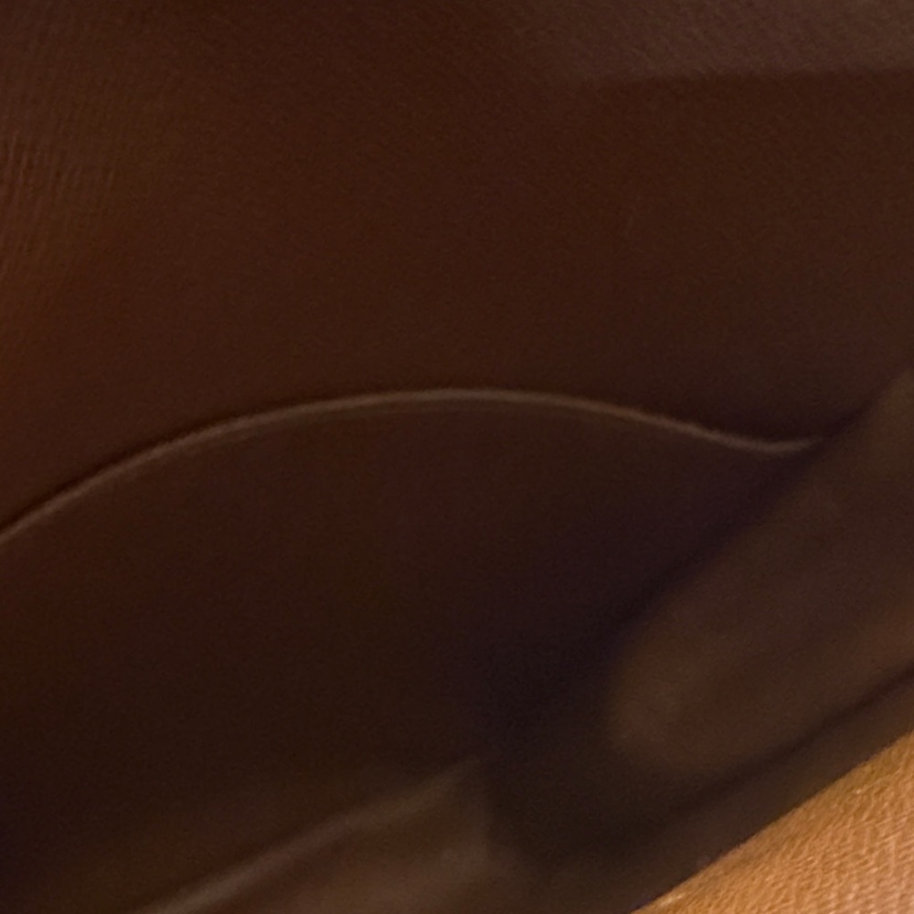 Louis Vuitton Monogram Crossbody Amazon Bag - Picture 11 of 12